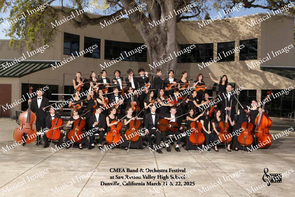 Musical Images